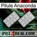 Anaconda Pill 17